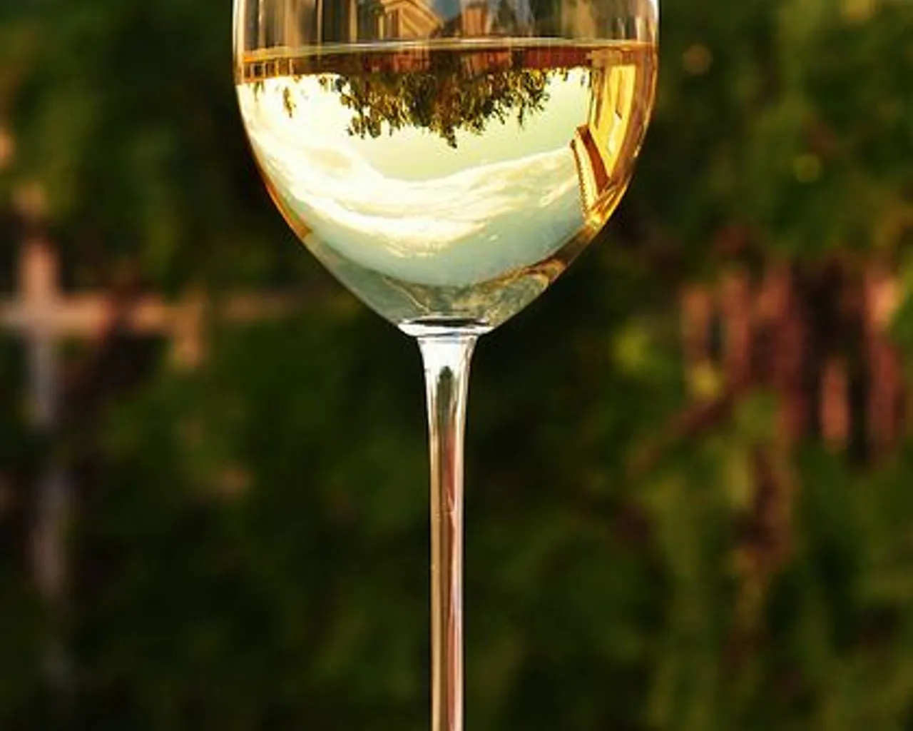 Mon Reve Chardonnay Chenın Blanc 75cl